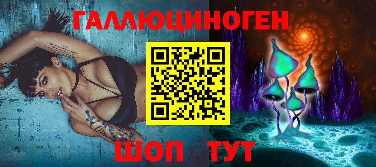 Псилоцибиновые грибы Cubensis Магнитогорск